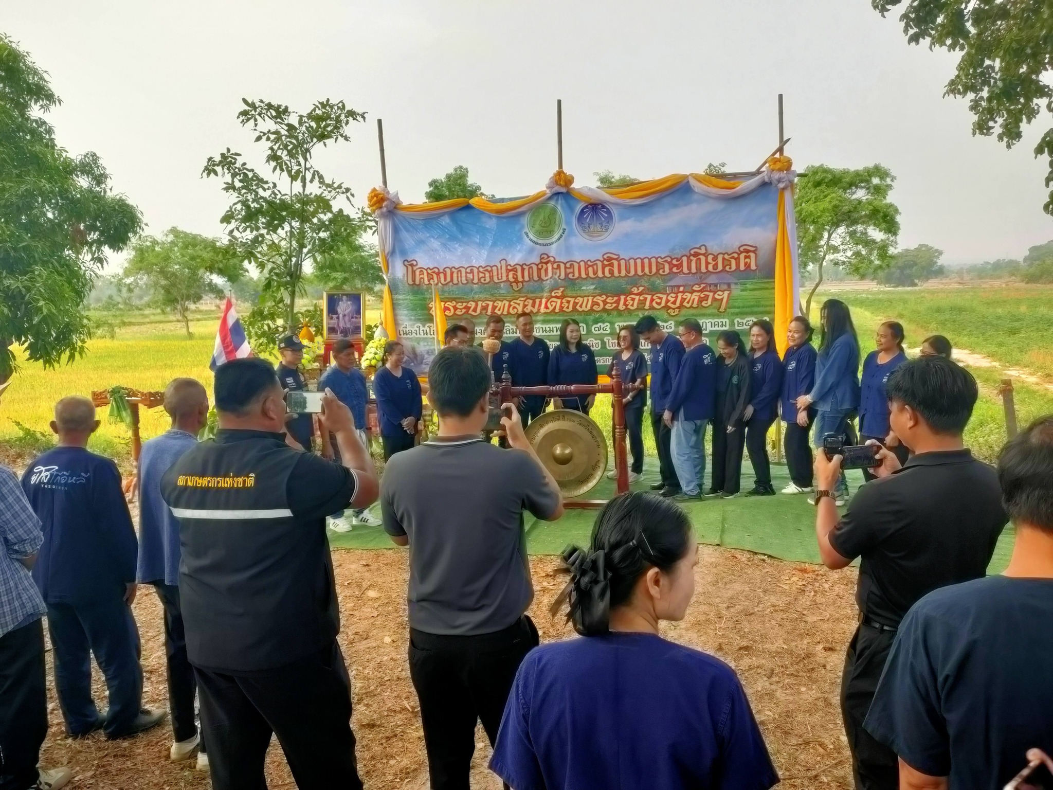 title - ส.ป.ก.ยโสธร ร่วมกิจกรรมเกี่ยวข้าว ภายใต้โครงการปลูกข้าวเฉลิมพระเกียรติ พระบาทสมเด็จพระเจ้าอยู่หัวฯ เนื่องในโอกาส มหามงคลเฉลิมพระชนมพรรษา 74 พรรษา